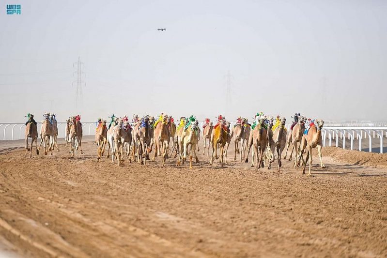 يوم الحقايق