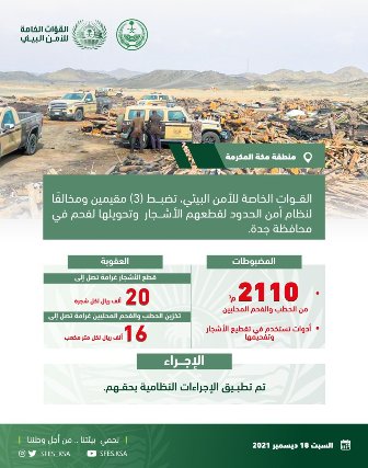 ضبط 3 مقيمين ومخالف لنظام أمن الحدود قطعوا الأشجار في جدة