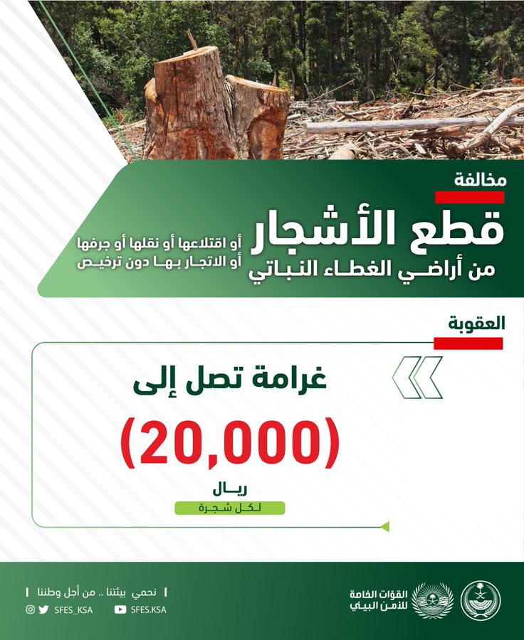 20 ألف ريال غرامة قطع الأشجار دون ترخيص