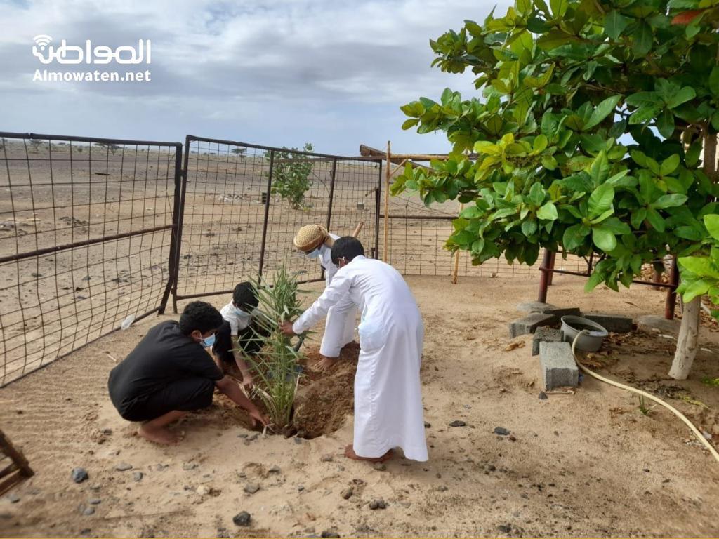 بر عمق تنفذ مبادرة شجرة في كل بيت