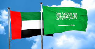 الإمارات: على المجتمع الدولي اتخاذ موقف حاسم لوقف عدوان الحوثي على المملكة