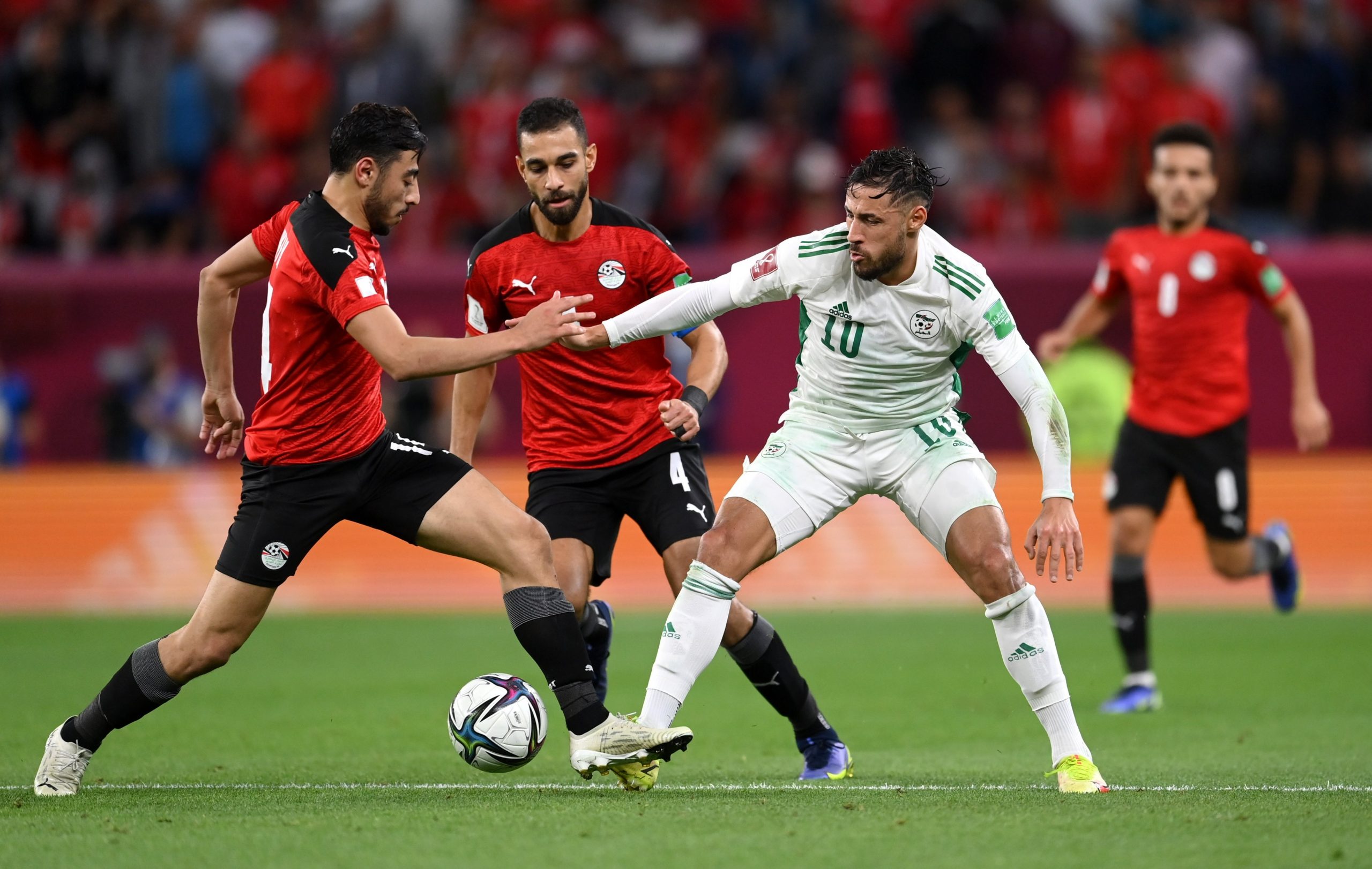 حقيقة تقديم الجزائر لشكوى بسبب مباراة مصر