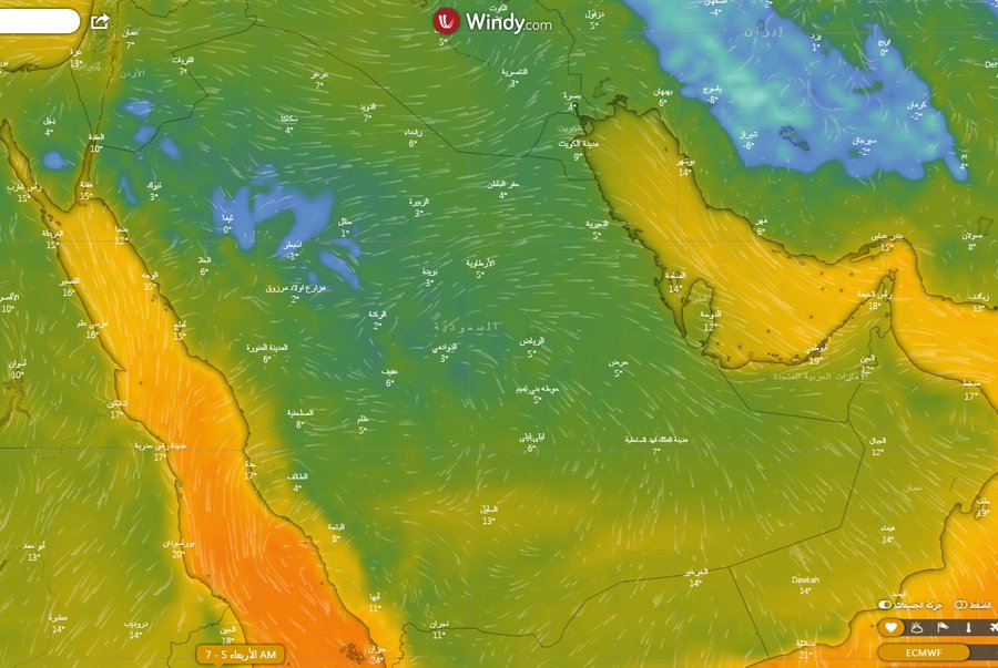 الحصيني: اليوم بداية الشولة آخر نجوم المربعانية.. استمرار البرودة والصقيع