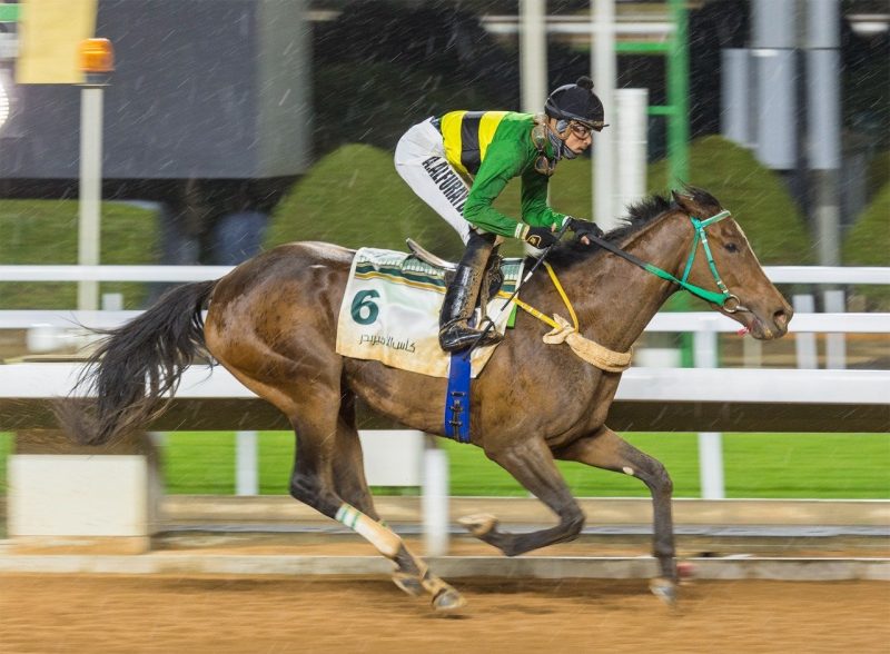 سباقات الخيل - مهرجان كؤوس الملوك