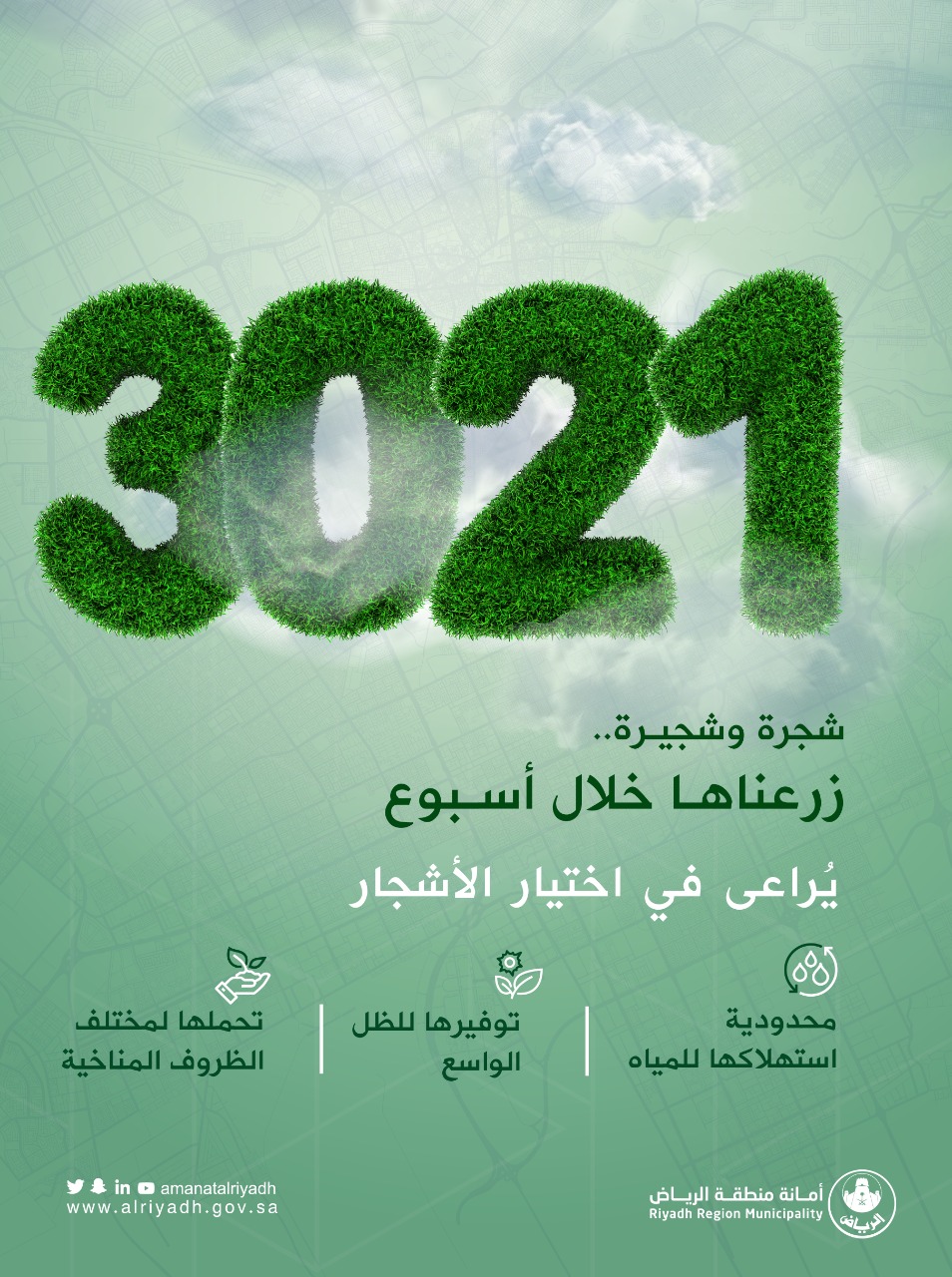 أمانة الرياض تزرع 3 آلاف شجرة خلال أسبوع