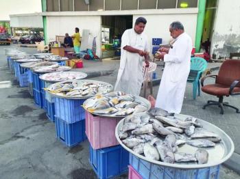 الشرقية تغذي أسواق المملكة بـ 700 ألف طن من الأسماك والروبيان سنوياً