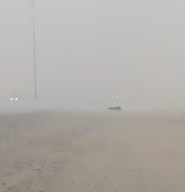 شاهد.. أمطار ثول الغزيرة شمال جدة