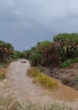 لحظة جريان سيول الحقو بعد أمطار جازان الصباحية