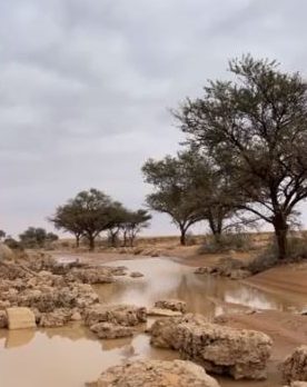 الزعاق: 3 ألوان للسماء تحدد شدة البرد