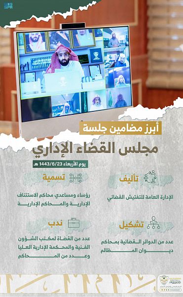 القضاء الإداري