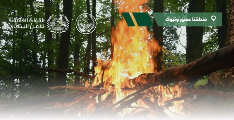 نظام البيئة النار