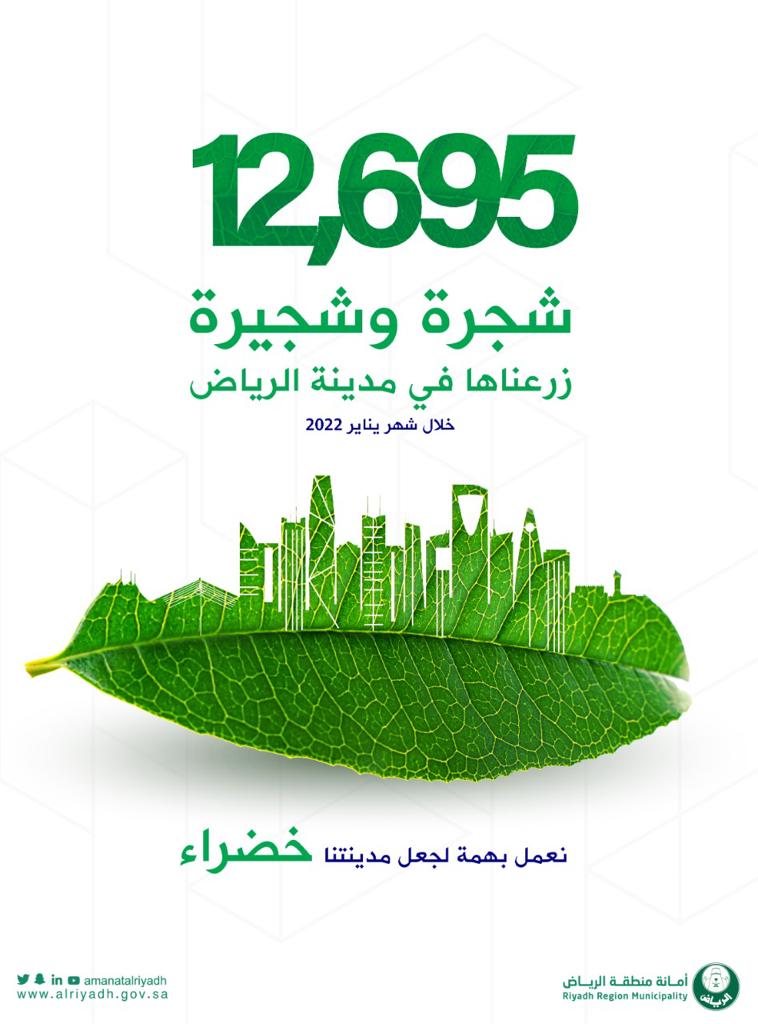 أمانة الرياض تزرع 12 ألف شجرة خلال يناير
