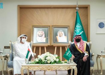 عبدالعزيز بن سعود يبحث عددًا من الموضوعات مع ولي عهد دبي - المواطن
