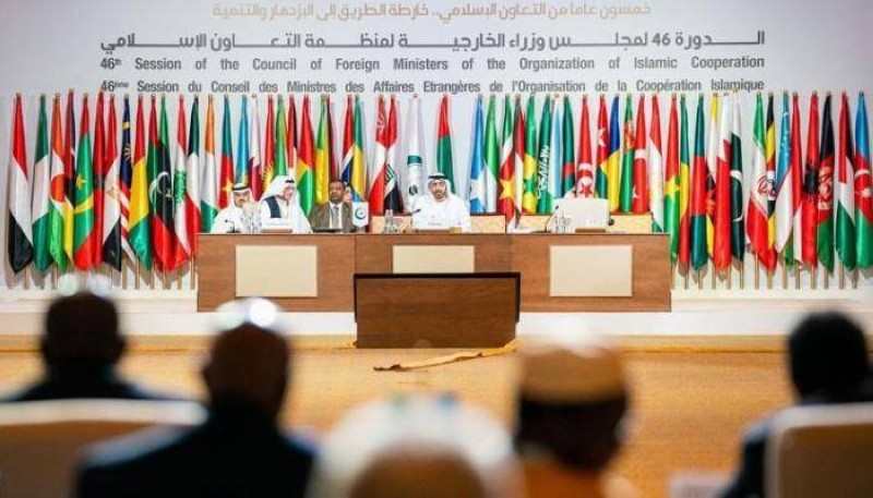 وزراء خارجية دول التعاون الإسلامي ينددون بهجمات ميليشيا الحوثي ضد المملكة