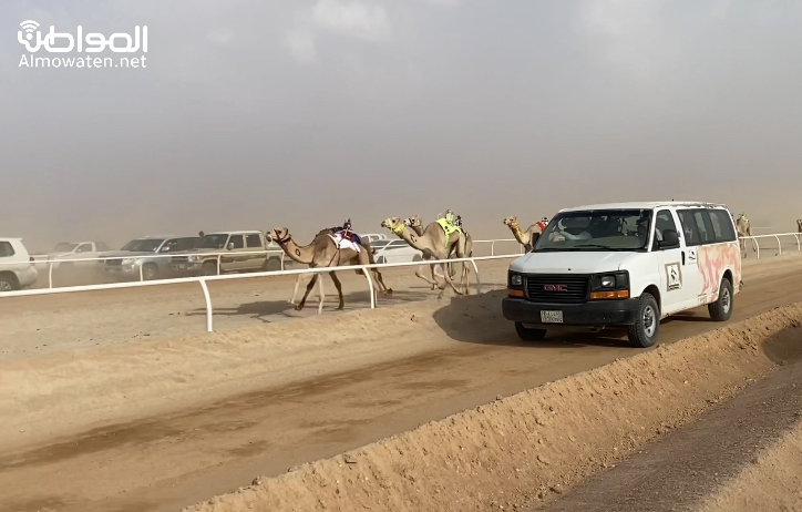 بعد 7 سنوات من الانقطاع.. السباقات تعود لميدان هجن حفر الباطن