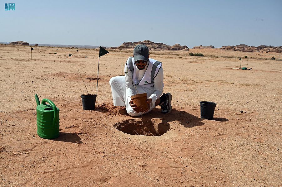 محافظة العلا تحتفي بأسبوع البيئة تحت شعار بيئتنا مسؤوليتنا