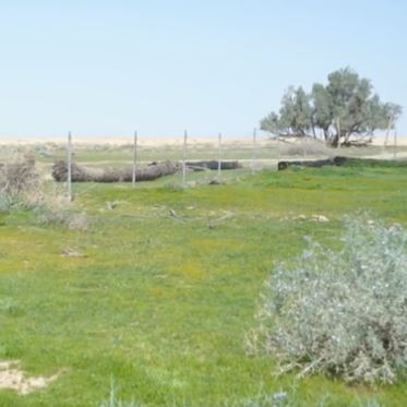 الزعاق : شعبان الشهر القصير والأسرع