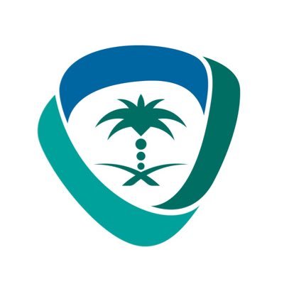 الملكية الفكرية تضبط 30 ألف موقع ومحتوى إلكتروني مخالف
