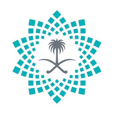 برنامج التحول الوطني: تنفيذ 6000 خدمة حكومية إلكترونية في السعودية