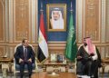محمد بن سلمان والرئيس المصري يبحثان العلاقات الثنائية وتطورات الأوضاع - المواطن