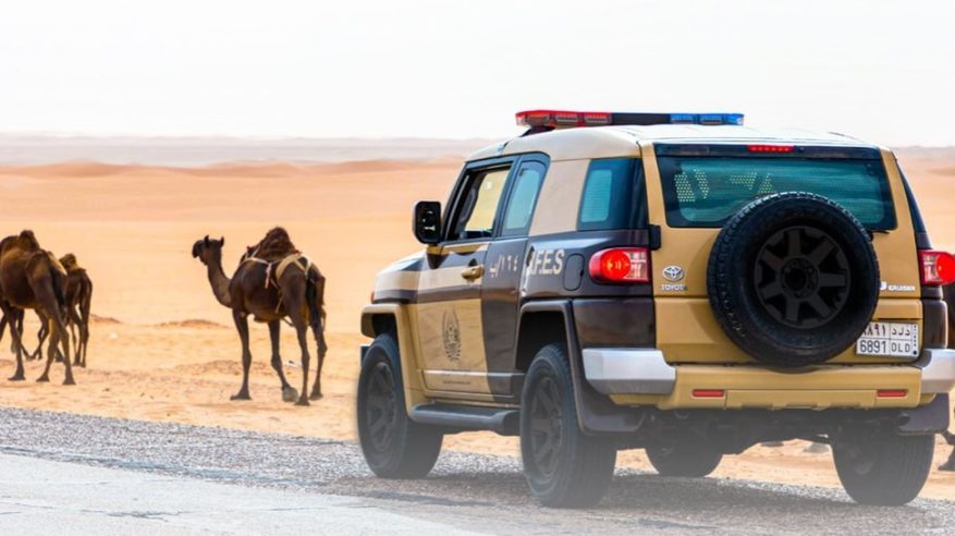 ضبط 13 مواطنًا خالفوا نظام البيئة