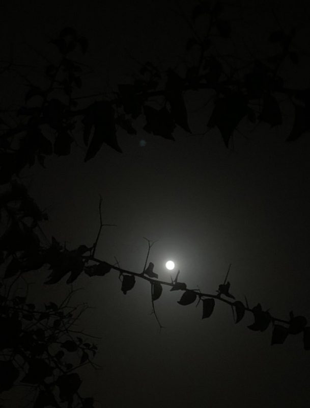 القمر الليلة بدرًا في سماء السعودية ولقطات توثق الحدث - المواطن
