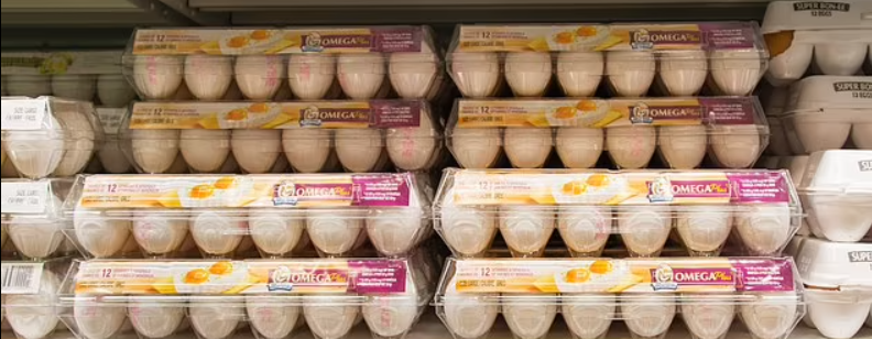 تقرير: إنفلونزا الطيور تهدد برفع أسعار البيض في الأشهر المقبلة