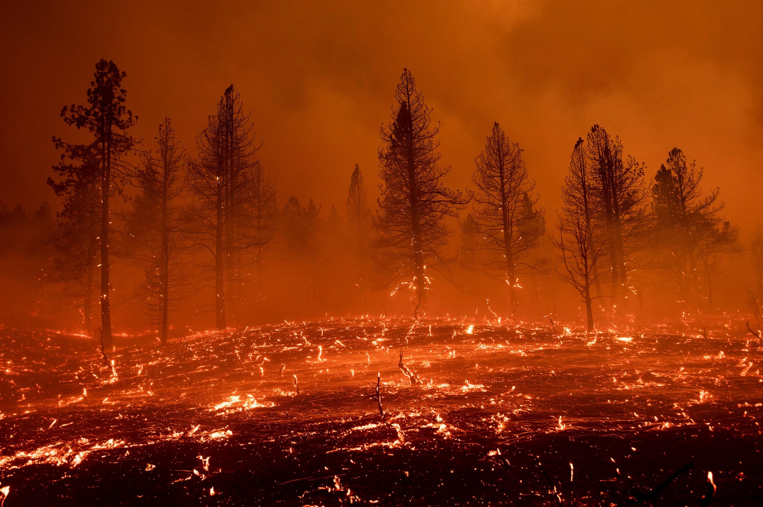 حرائق الغابات في الولايات المتحدة تطال آلاف الأفدنة والمباني