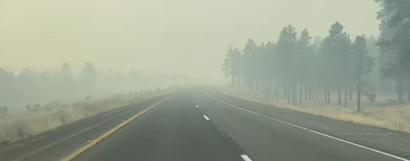 حرائق الغابات في الولايات المتحدة تطال آلاف الأفدنة والمباني