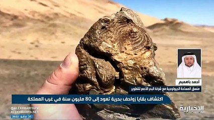 متاحف أحفورية مفتوحة للجمهور في البحر الأحمر