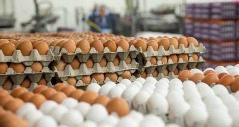 اكتفاء ذاتي عالٍ للأغذية بالسعودية