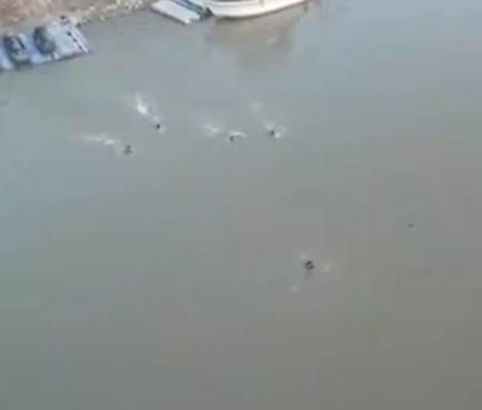 شاهد.. لحظة إنقاذ فتاة حاولت الانتحار من أعلى جسر في بغداد