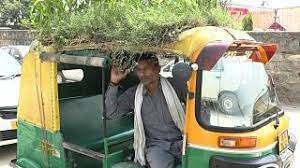 بالفيديو.. سائق هندي يُنشئ حديقة على سطح توك توك