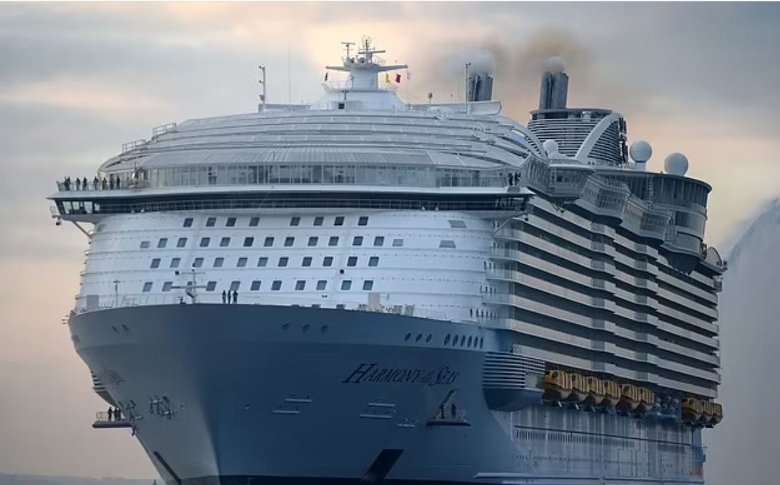 شاهد لحظة الاصطدام المروع لـ أطول سفينة سياحية في العالم