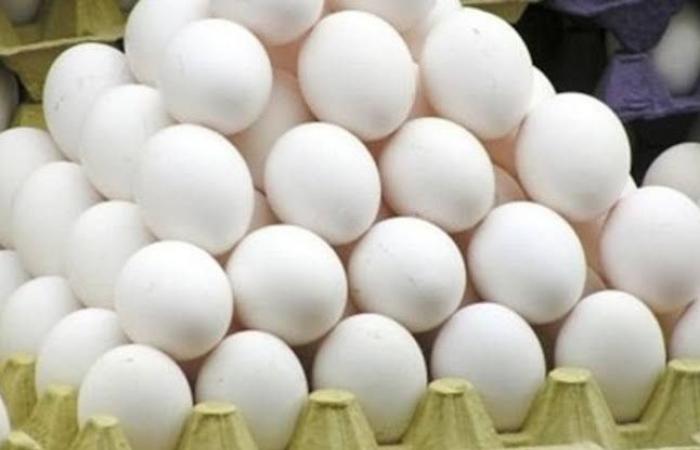 سبب ارتفاع سعر البيض في السعودية
