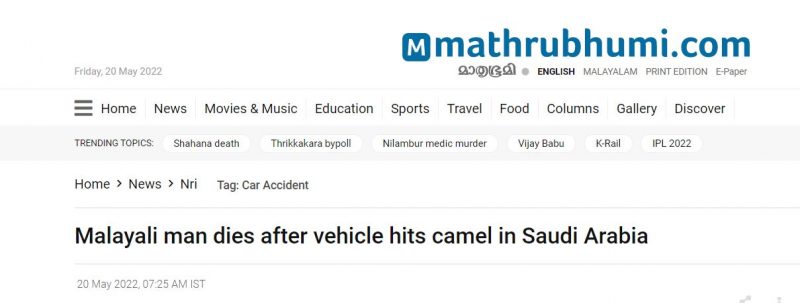 وفاة مقيم هندي بعد اصطدام سيارته بجمل في السعودية 