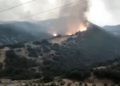 حرائق ضخمة تجتاح غابات الجزائر توقع قتلى وجرحى - المواطن