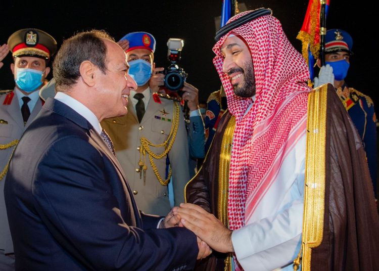 إرادة سياسية سعودية مصرية لتعزيز العمل العربي المشترك - المواطن