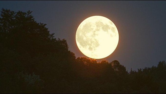 فلكية جدة: بدر رمضان يزين السماء اليوم