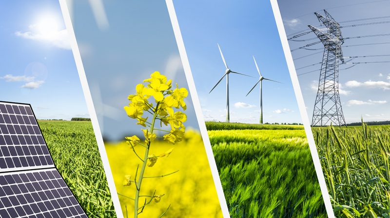السعودية والإمارات تقودان العالم في مجال الطاقة المتجددة النظيفة 