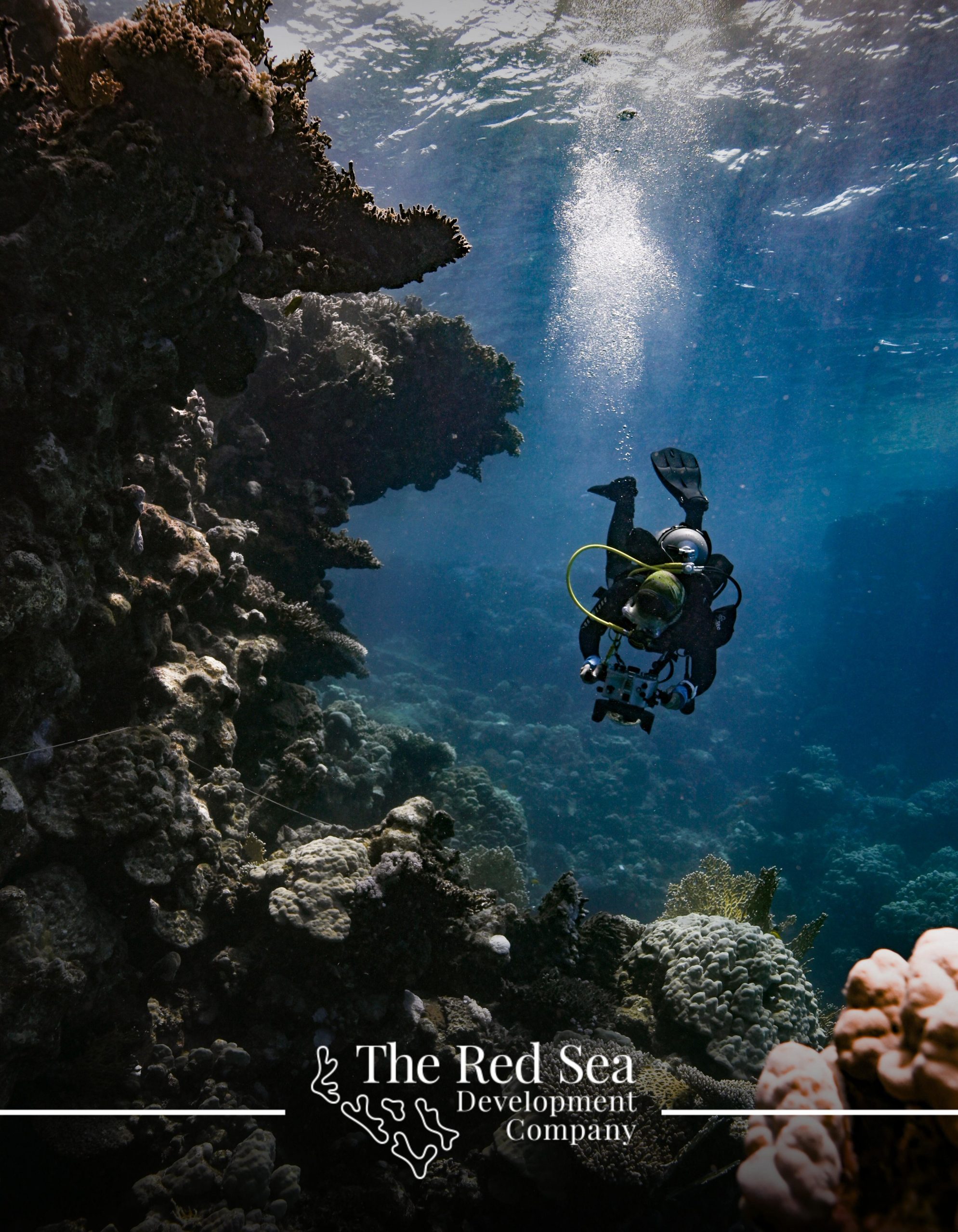 البحر الأحمر تنفذ المشروع البحثي الأضخم عالميًا