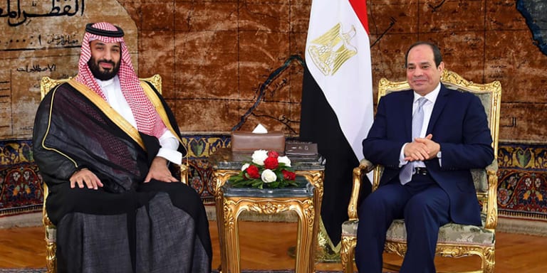 صحيفة هندية زيارة محمد بن سلمان إلى مصر تفتح آفاقًا جديدة للعلاقات