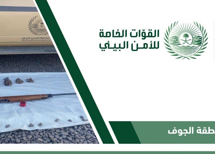 ضبط مخالفين بحوزتهم 7 طيور مصيدة و101 ذخيرة في محمية بالجوف - المواطن