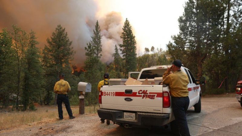 إعلان حالة الطوارئ في كاليفورنيا بعد نشوب حريق غابات هائل - المواطن