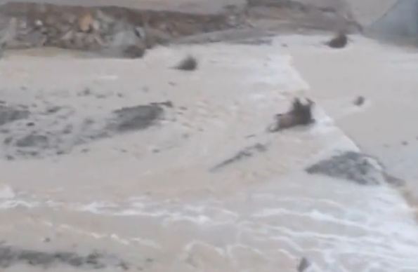لقطات من جريان الأودية في سلطنة عمان.. حالة مدارية