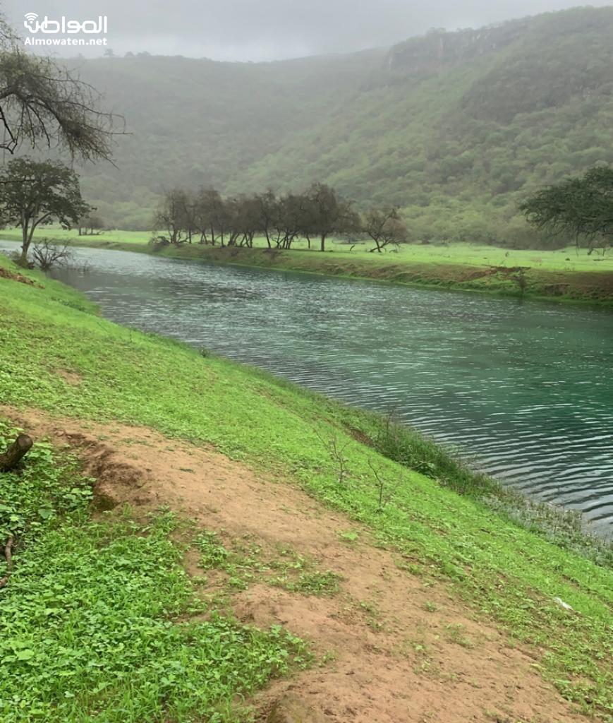 خريف صلالة في قلب الصحراء.. مشاهد ساحرة بوادي دربات وجبل سمحان