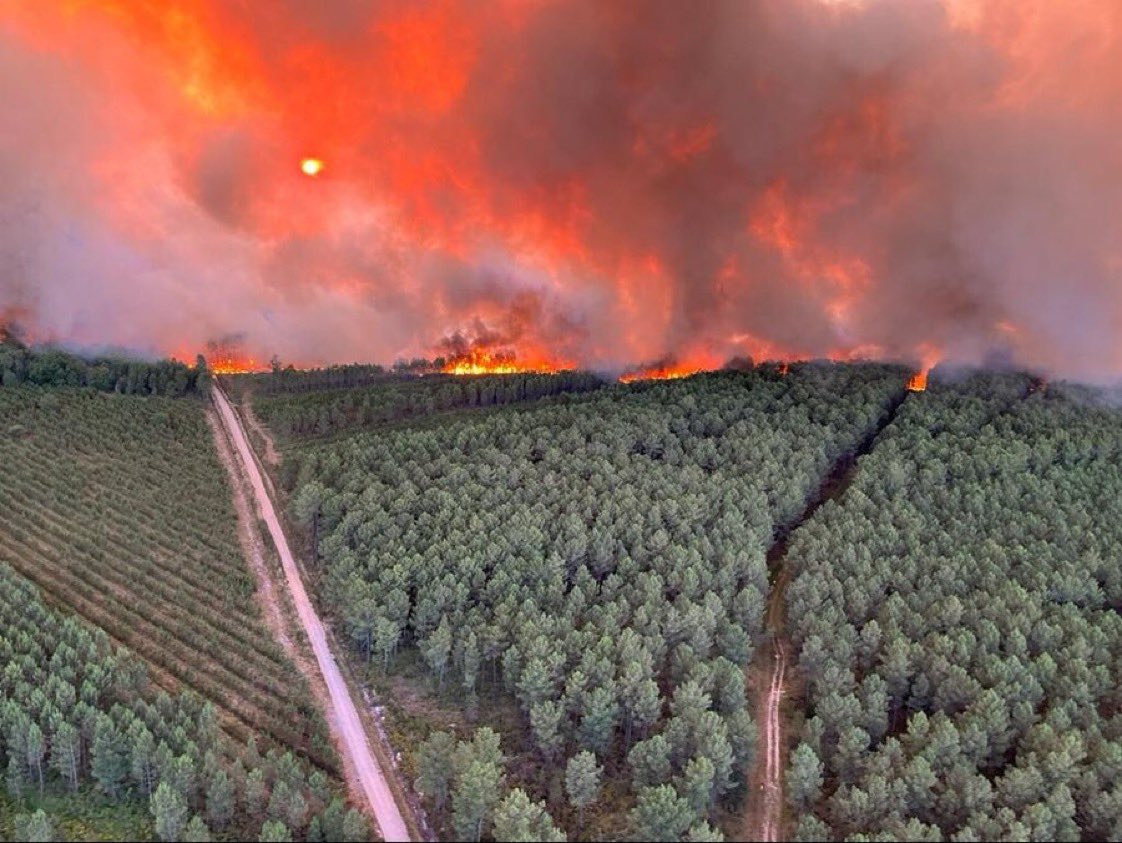 شاهد.. حرائق الغابات في فرنسا تلتهم 200 هكتار