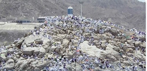 مشهد مهيب.. الحجاج يستقرون على صعيد عرفات