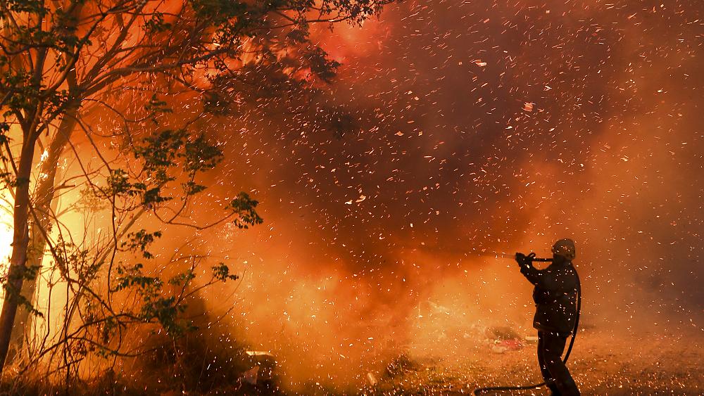 حرائق غابات تلتهم 4600 هكتار بإسبانيا على مدار 7 أيام