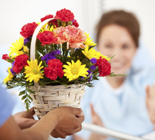 تحذير من إحضار الزهور للمستشفيات.. تهدد صحة المرضى